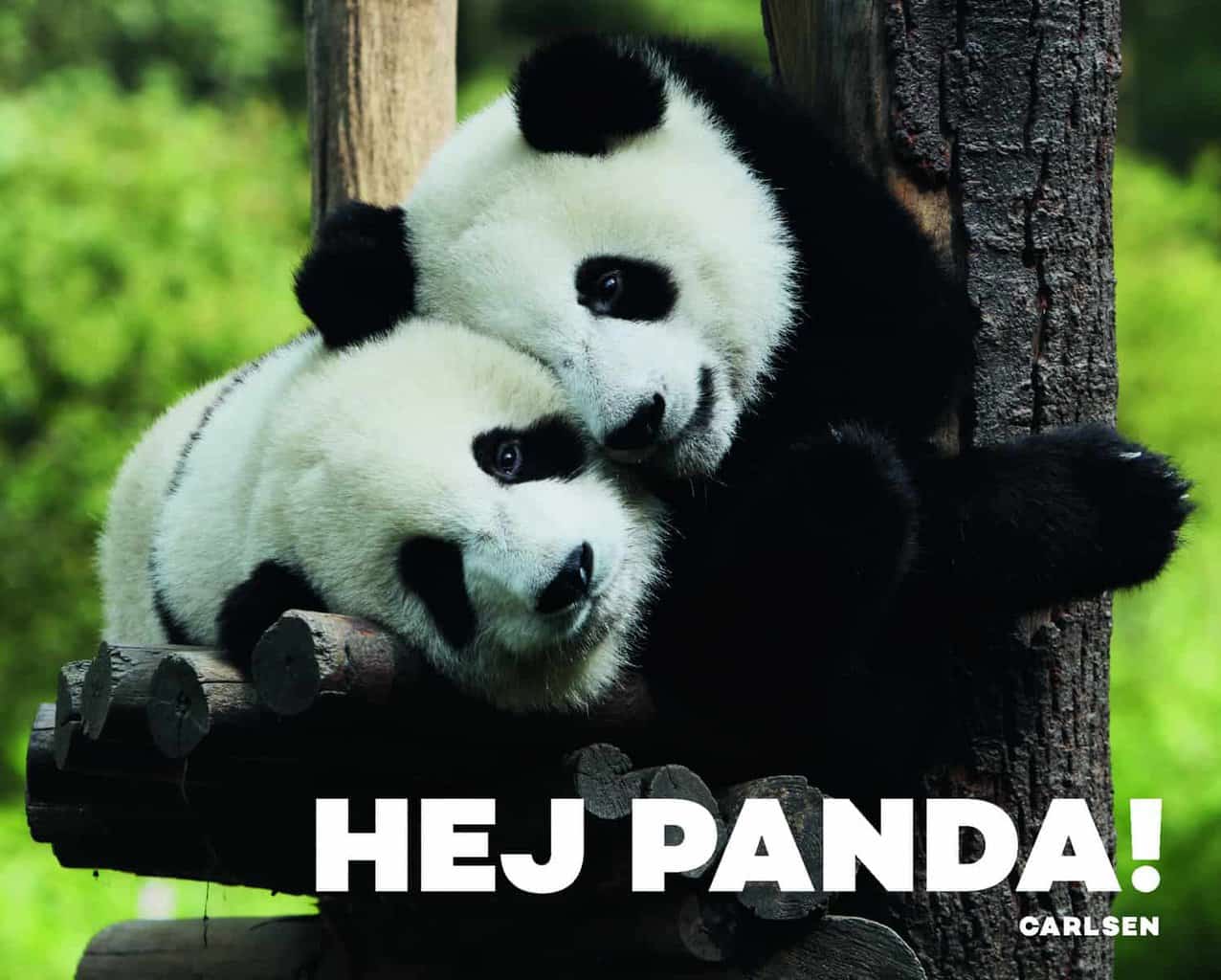Hej Panda - Papbog med Søde Pandaer til Børns Læring