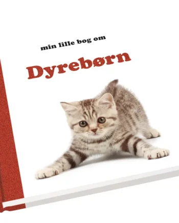 Min Lille Bog Om Dyrebørn - Farverig Papbog til Børn