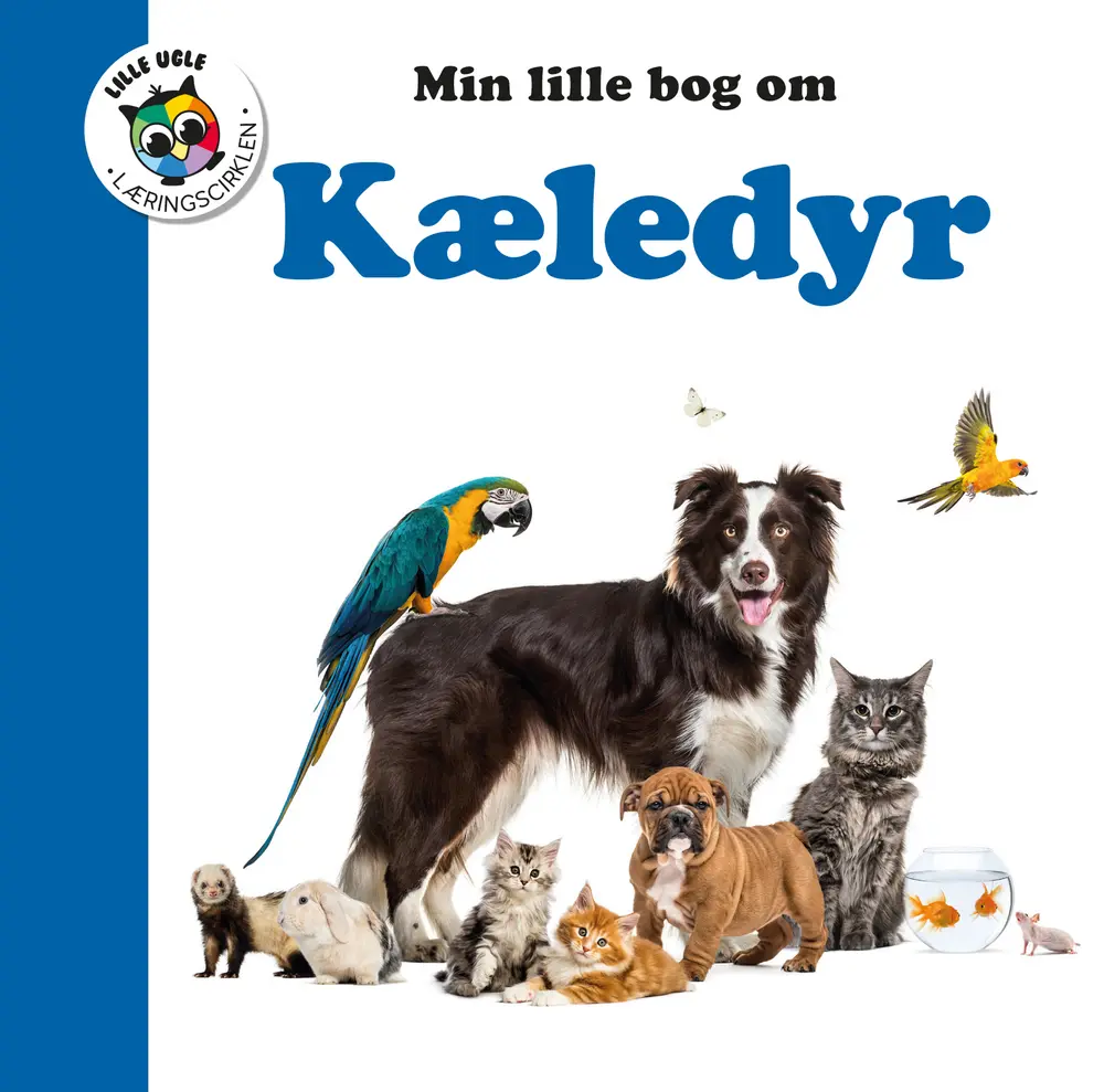 Farverig Børnebog om Kæledyr – Læring og Leg