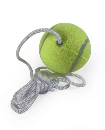 Pole Tennis Reservebold fra Amo - Uundgåelig til Stangtennis
