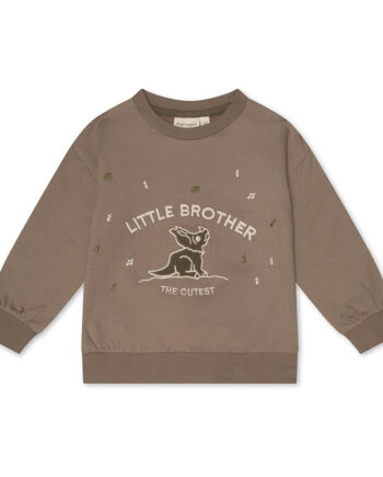 Finley Lillebror Sweatshirt – Fossil til Børn fra That's Mine