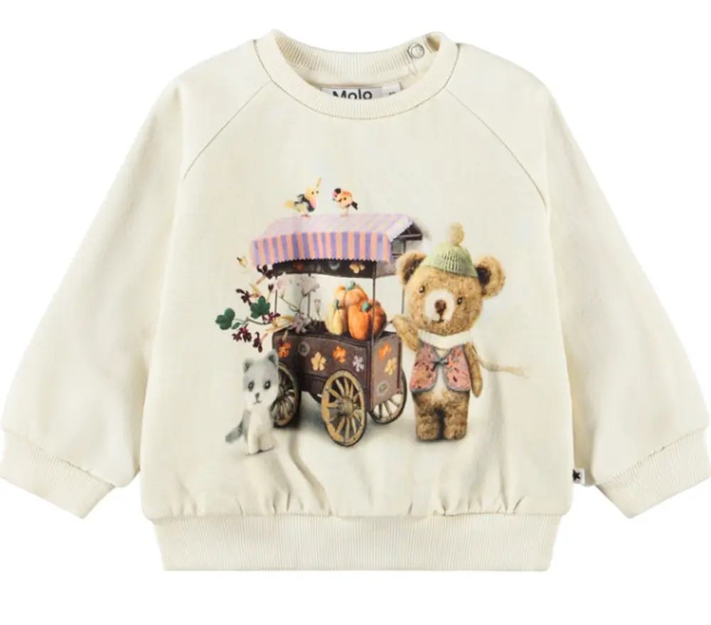 Molo Disc Sweatshirt Flower Market 104