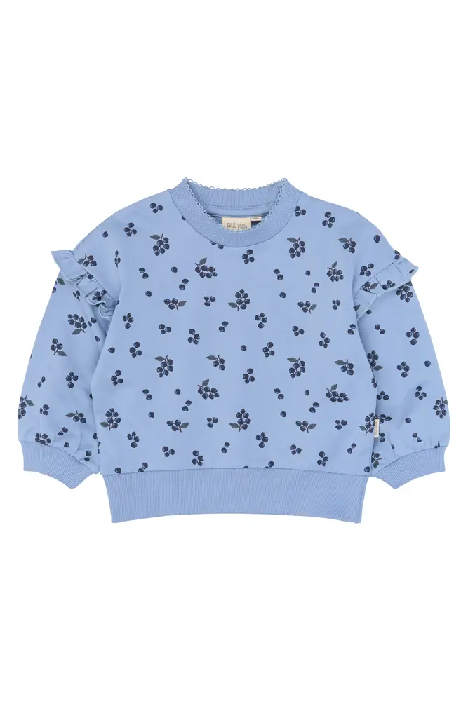 Petit Piao Gween Sweatshirt Stonewash Blueberry  92 Cm