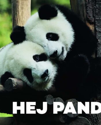 Hej Panda - Papbog med Søde Pandaer til Børns Læring