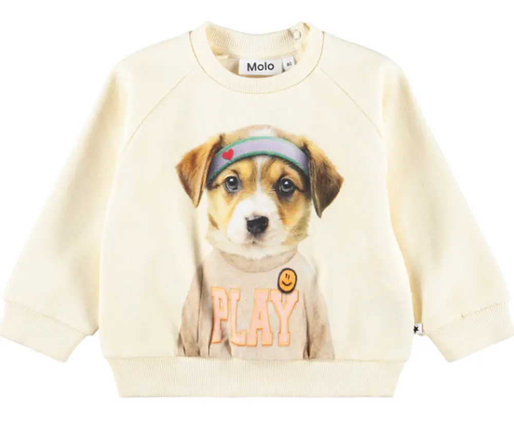 Molo Disc Sweatshirt Game Pup 92
