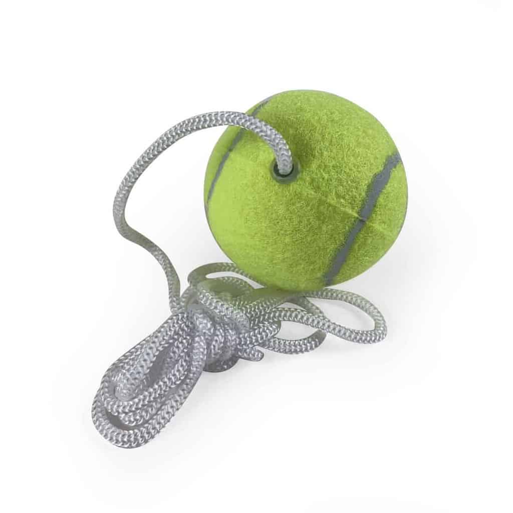 Pole Tennis Reservebold fra Amo - Uundgåelig til Stangtennis